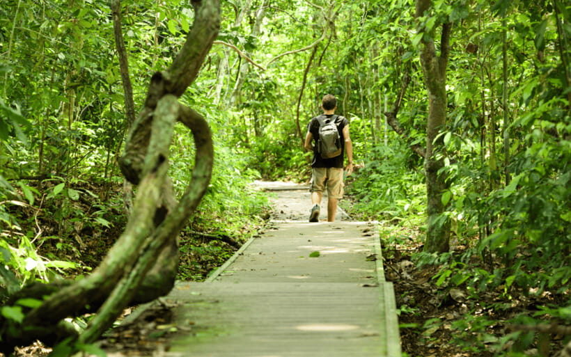 Kuala Lumpur: Taman Negara National Park Teras Waterfall - Fitness, weather, and safety: what will actually affect your day