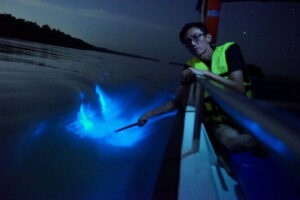 Kuala Selangor Fireflies and Blue Tears Tour with Dinner (SIC) - Getting there from Kuala Lumpur: pickup, meeting point, and how the day flows