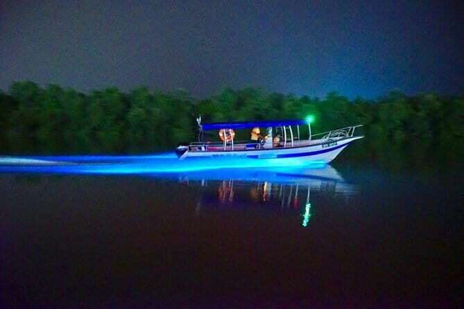 Kuala Selangor Fireflies and Blue Tears Tour with Dinner (SIC) - Stop 1: Bukit Melawati and Fort Altingsburg—viewpoints, history, and silver leaf monkeys