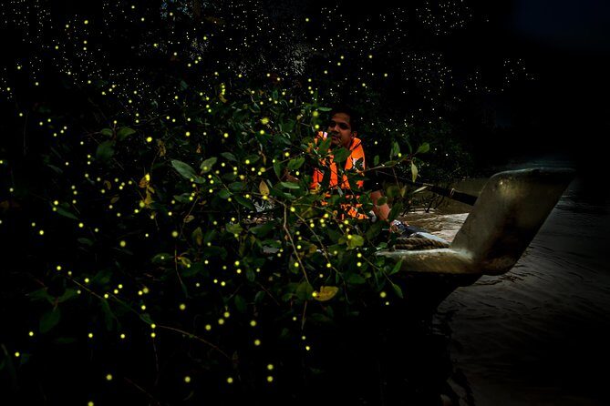 Kuala Selangor Fireflies - Batu Caves Temple- Malawati Hill DayTour With Dinner - Sri Shakti Temple: a focused 20-minute cultural stop