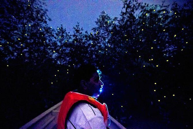 Kuala Selangor Fireflies Evening River Cruise from Kuala Lumpur - Sri Shakti Temple: a short stop, mostly for photos
