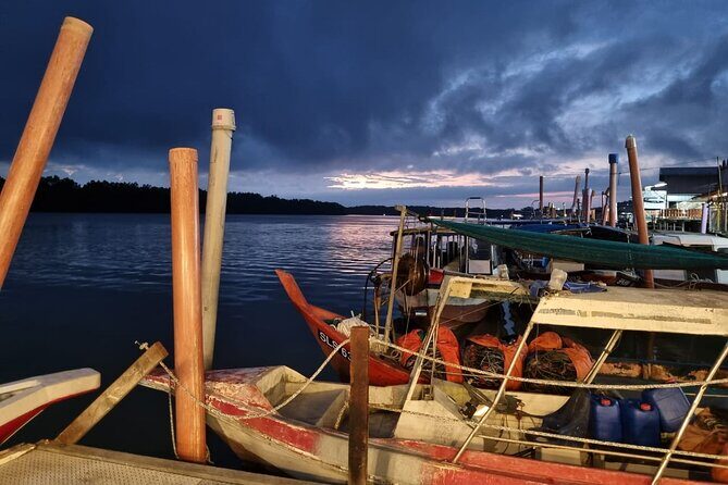 Kuala Selangor Fireflies Tour with Fort Altingsburg & Dinner - Kuala Selangor Fireflies at the D’Tour Jetty: when to aim for the flashes