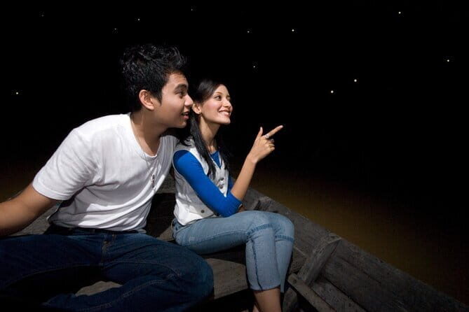 Kuala Selangor Firefly Blinkings Private Tour with Seafood Dinner - Fireflies Over the Selangor River: What You’re Really Booking