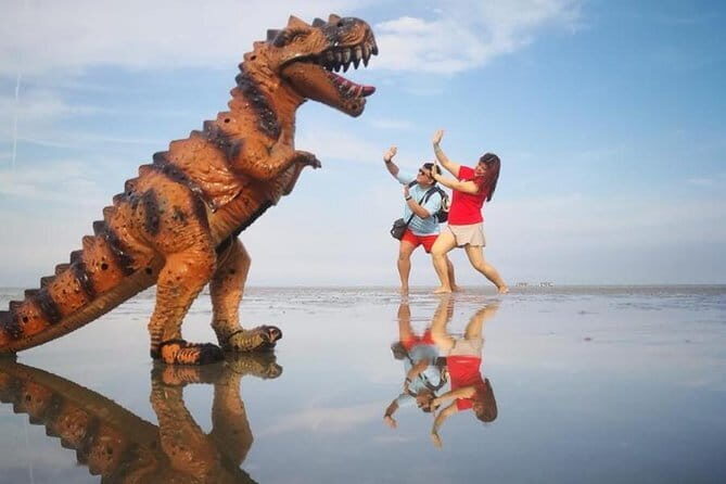 Kuala Selangor Sky Mirror Experience – Natural Mirror Beach Tour - The Ride, the Driver, and What You Gain From a Guided Day