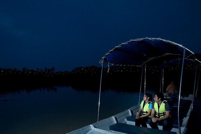 Kuala Selangor Tour from Kuala Lumpur with Fireflies Boat Ride and Seafood Dinner - Kuala Selangor at dusk: why this feels special