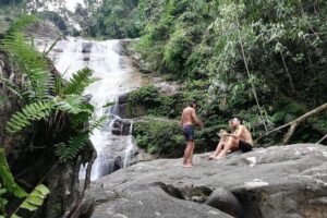 Magical River Trek - The Jungle Trek: River Systems, Bamboo Thickets, and Hill Work