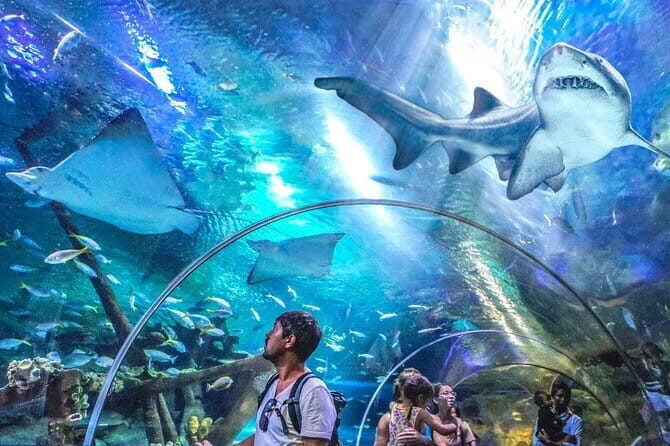 Malaysia: Aquaria KLCC Admission E-Ticket - Key Points Before You Go