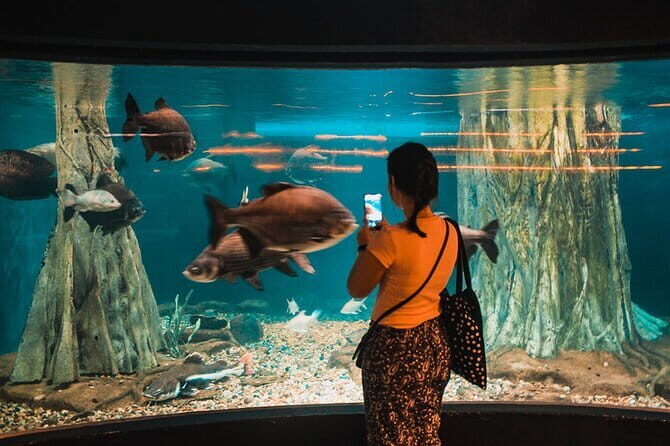 Malaysia: Aquaria KLCC Admission E-Ticket - Why Aquaria KLCC Works So Well in Kuala Lumpur