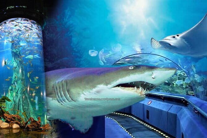 Malaysia: Aquaria KLCC Admission E-Ticket - Tickets, E-Tickets, and the Photo ID Rule