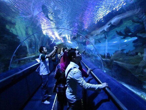 Malaysia: Aquaria KLCC Entry Ticket - Key things I’d plan around