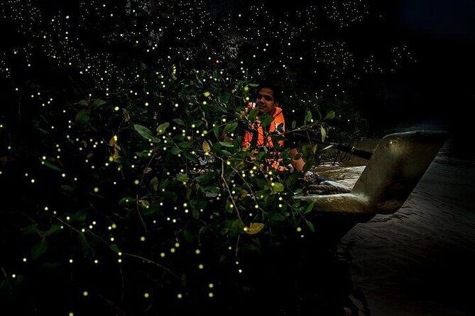 Mystical Nights: Fireflies & Blue Tears Adventure - Sri Shakti Temple: a quick cultural stop that sets the tone