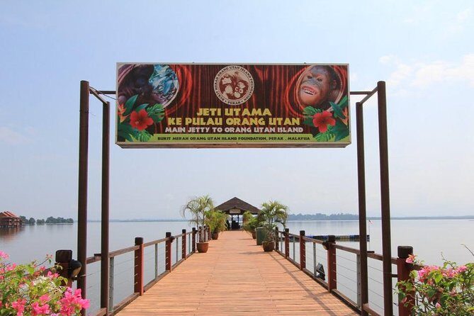 Orang Utan Island and Perak Tong Cave From Kuala Lumpur - The drive to Bukit Merah: staying comfortable for a long day