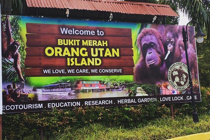 Orang Utan Island Day Tour - Leaving Kuala Lumpur: The Long Drive That Sets the Tone