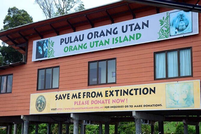 Orang Utan Island Day Tour (Bukit Merah) - Orangutan time in Bukit Merah: why this combo works