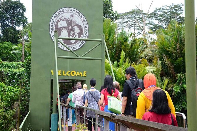 Orang Utan Island Day Tour (Bukit Merah) - Orang Utan Island Foundation: ferry included, viewing handled
