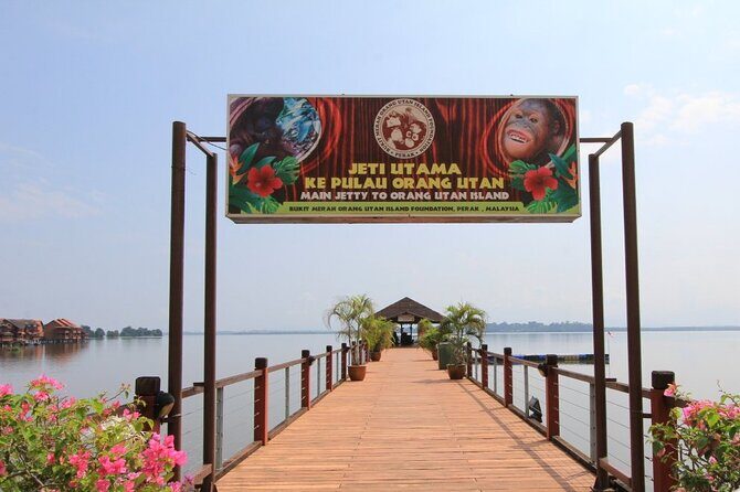 Orang Utan Island Day Tour (Bukit Merah) - Perak Cave Temple: the 40-foot Golden Sitting Buddha stop