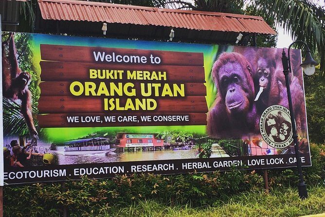 Orang Utan Island Day Tour (Private) - What to expect on the ground: walking, weather, and comfort