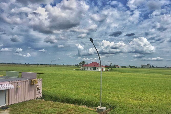Paddy Field, Fishing Village Sekinchan DAY Tour Lunch (SIC-Shared/Join In Tour) - Paddy Fields Views: More Than Just Pretty Photos