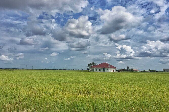 Paddy Field, Fishing Village Sekinchan DAY Tour Lunch (SIC-Shared/Join In Tour) - The Lunch Stop: Local Seafood That Makes the Whole Day Work