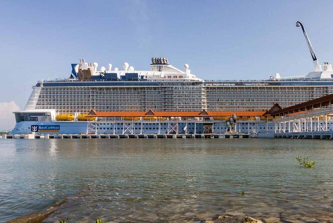 Port Klang Shore Excursions for KL City Tour - Quick hits: what makes this KL tour work