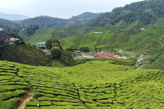Private: Cameron Highlands 2 days 1 night Trip - Key highlights that matter (not just names on a list)