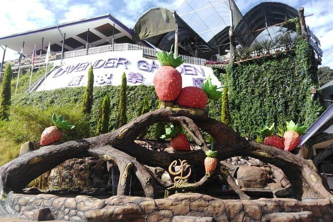 Private: Cameron Highlands 2 days 1 night Trip - Price check: is $218.54 per person good value?