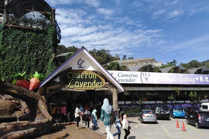 Private: Cameron Highlands 2 days 1 night Trip - Getting from Kuala Lumpur to the highlands (and why timing matters)