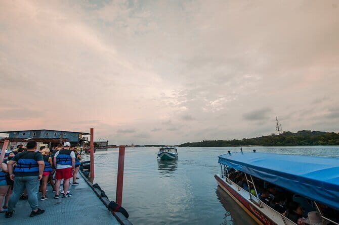 Private Fireflies Tour with Blue Tears and Seafood Dinner - Key points to know before you book