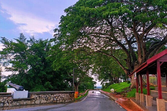 Private Fireflies Tour with Blue Tears and Seafood Dinner - Bukit Melawati and Altingsburg Lighthouse: monkeys, views, and the outdoor part