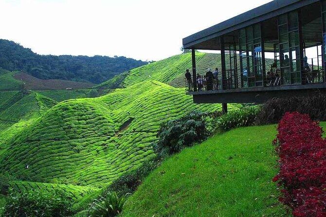 Private Full-Day Cameron Highlands Nature Tour from Kuala Lumpur - Roadside Scenes on the Way Up: Tapah and the Lata Iskandar Stop