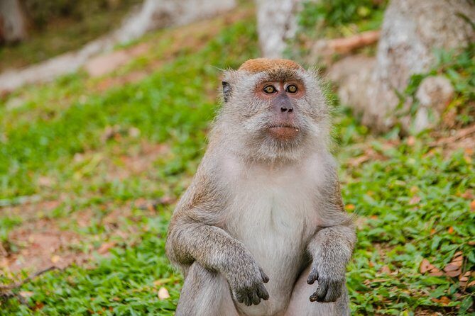 Private Kanching Waterfalls with Batu Caves & Ramayana Caves Tour - When a “hot springs” add-on shows up
