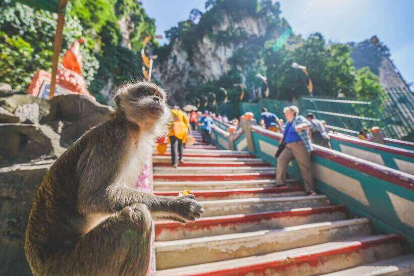 Private KL City Tour with Petronas Twin Towers & Batu Caves - A private KL day that stays practical, not just photo-stop theater