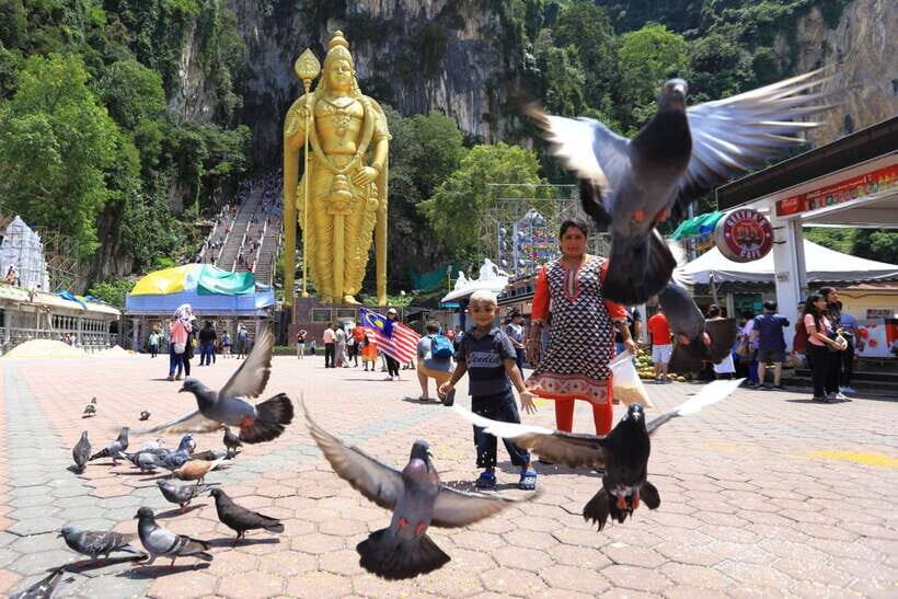 Private KL City Tour with Petronas Twin Towers & Batu Caves - Merdeka Square, Istana Negara, and Lake Gardens for a calmer pace