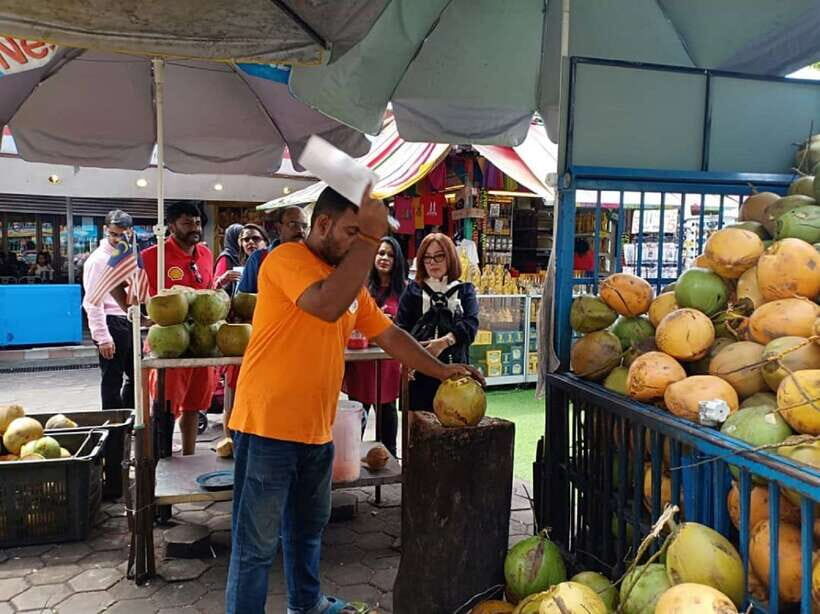 Private KL City Tour with Petronas Twin Towers & Batu Caves - Why the guide matters more than you think