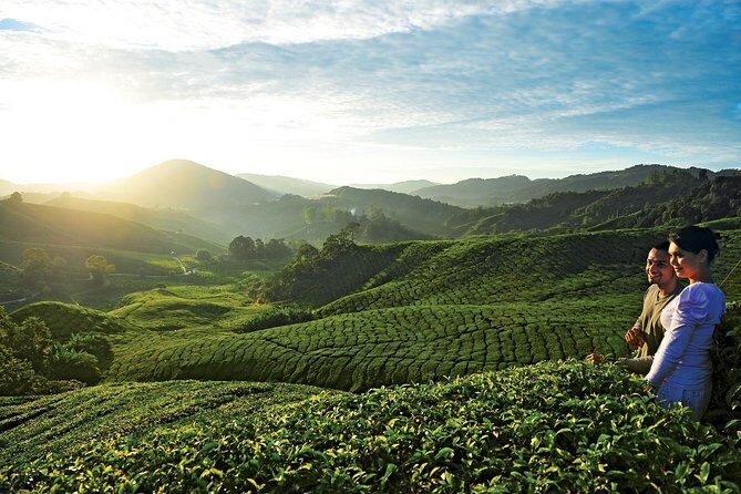 Private Nature Trip to Cameron Highlands from Kuala Lumpur - Getting There Comfortably From Kuala Lumpur