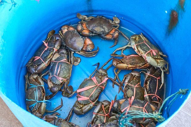 Private Tour: Crab Island Sightseeing Boat Ride and Seafood Lunch - Lunch on the island: how the seafood meal works and what to order