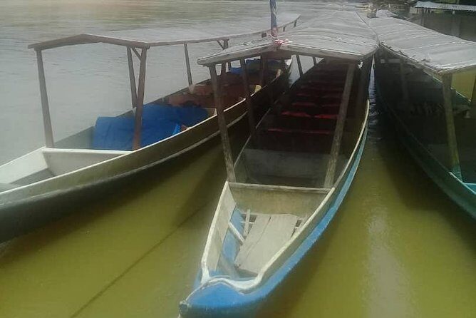 Private Transfer to Taman Negara from Kuala Lumpur - Private transfer to Taman Negara: what you’re actually buying
