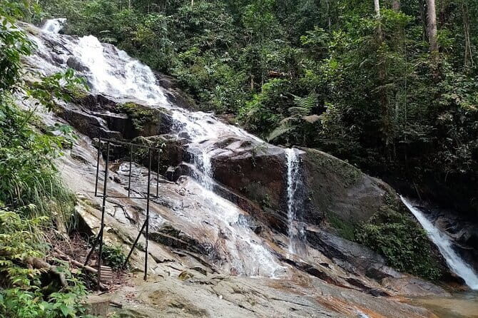 Rainforest-Cascading Waterfall & Batu Cave (Private Tour) - Templer Park: hot-spring heat and a swim under the waterfall