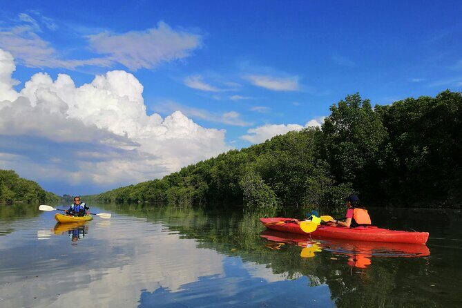 River Exploration and Mangrove Nature Tour by kayaking - Key things I’d mark on your mental map