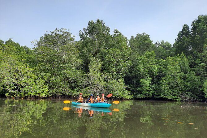 River Exploration and Mangrove Nature Tour by kayaking - Sepang River mangroves: calm water, real wildlife moments