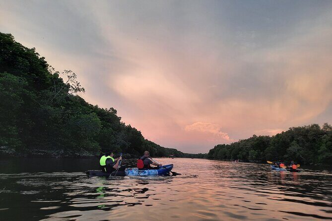 River Exploration and Mangrove Nature Tour by kayaking - What you’ll actually see while paddling: kingfishers, eagles, mud skippers, crabs