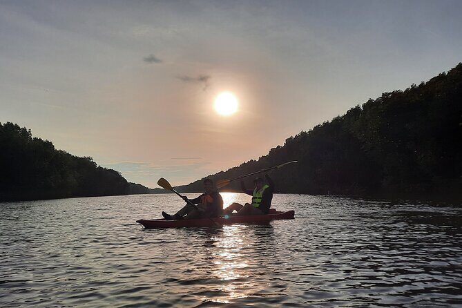 River Exploration and Mangrove Nature Tour by kayaking - Morning 8–12 vs sunset 4–7: picking the mood and the wildlife odds