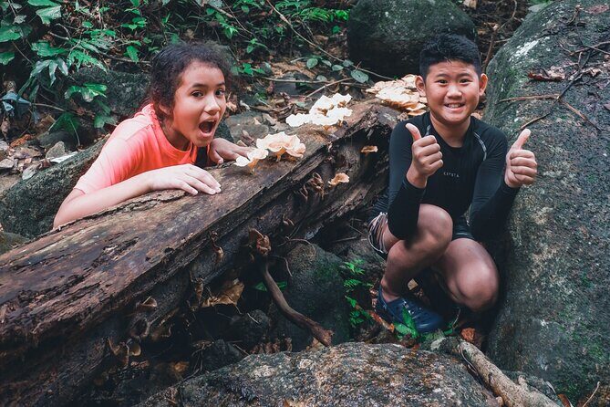 Secluded Waterfall Adventure - The 4-hour flow: pickup, 8:00 am start, and a timed hike