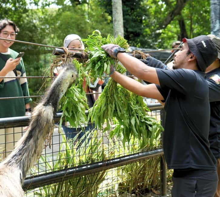 Selangor: Zoo Negara E-Ticket - Key points before you go