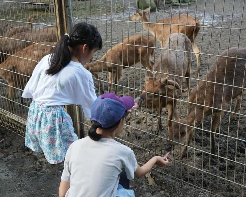 Selangor: Zoo Negara E-Ticket - When to Go: Zoo Hours, Last Admission, and Show Timing