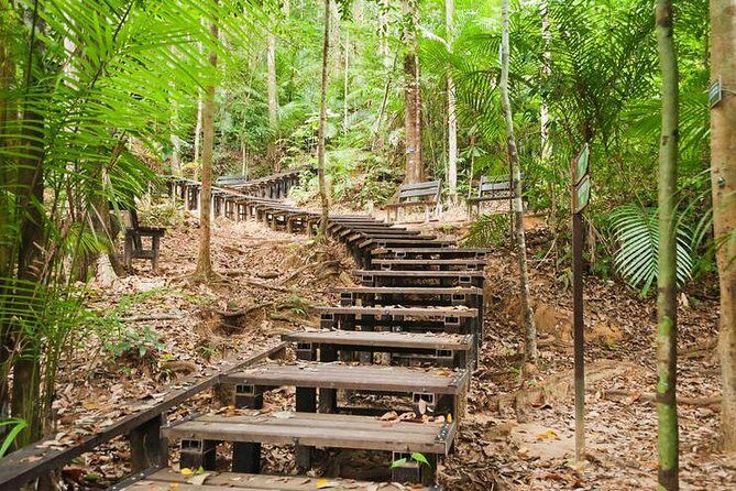 Taman Negara Day Tour with Canopy Walk - Jungle trek to Teresek Hill plus the canopy walk 40m up