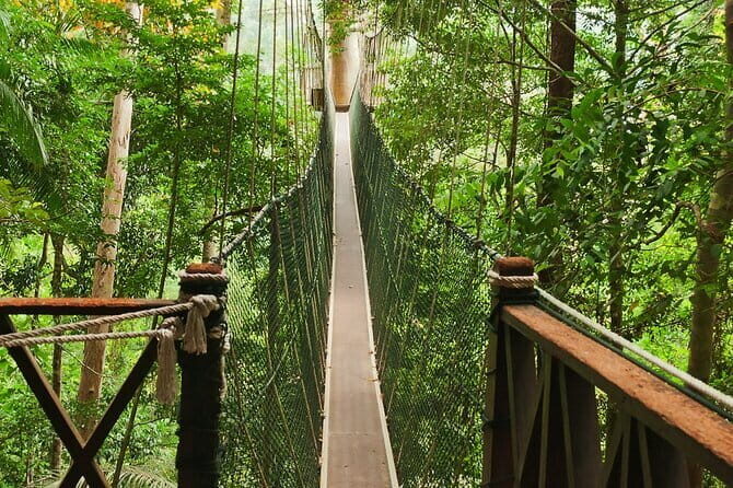 Taman Negara National Park Day Excursion from Kuala Lumpur PVT - Drive time: how the naturalist narration changes the day