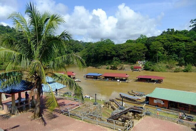 Taman Negara National Park Day Excursion from Kuala Lumpur PVT - The 6:00 am departure you’ll either love or resent