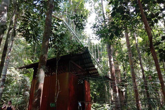 Taman Negara National Park Day Tour (SIC - Join In Tour) - Why This Taman Negara Day Trip Works From Kuala Lumpur