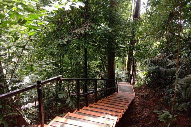 Taman Negara National Park Day Tour (SIC - Join In Tour) - The 5:30am Pickup: Your First Reality Check (and How to Prepare)
